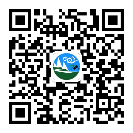 桐梓在線的微信公眾號二維碼 桐梓在線的微信公眾號二維碼